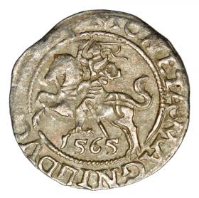Obrazek dla: Półgrosz 1565 Zygmunt II August Litwa Wilno
