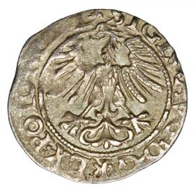 Obrazek 2 dla: Półgrosz 1565 Zygmunt II August Litwa Wilno