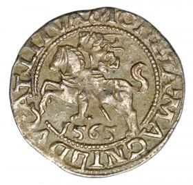 Obrazek dla: Półgrosz 1565 Zygmunt II August Litwa Wilno