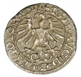 Obrazek 2 dla: Półgrosz 1565 Zygmunt II August Litwa Wilno