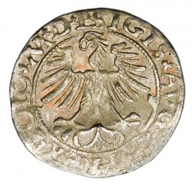 Obrazek 2 dla: Półgrosz 1565 Zygmunt II August Litwa Wilno