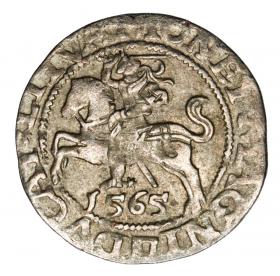Obrazek dla: Półgrosz 1565 Zygmunt II August Litwa Wilno