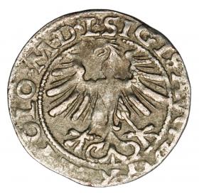 Obrazek 2 dla: Półgrosz 1565 Zygmunt II August Litwa Wilno