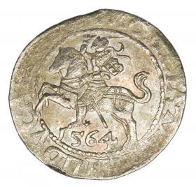 Obrazek dla: Półgrosz 1564 Zygmunt II August Litwa Wilno