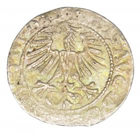 Obrazek 2 dla: Półgrosz 1564 Zygmunt II August Litwa Wilno