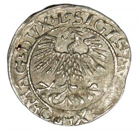 Obrazek 2 dla: Półgrosz 1561 Zygmunt II August Litwa Wilno