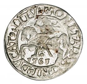 Obrazek dla: Półgrosz 1561 Zygmunt II August Litwa Wilno