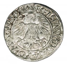 Obrazek 2 dla: Półgrosz 1561 Zygmunt II August Litwa Wilno