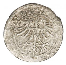 Obrazek 2 dla: Półgrosz 1564 Zygmunt II August Litwa Wilno