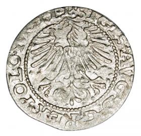 Obrazek 2 dla: Półgrosz 1564 Zygmunt II August Litwa Wilno