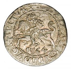Obrazek dla: Półgrosz 1564 Zygmunt II August Litwa Wilno