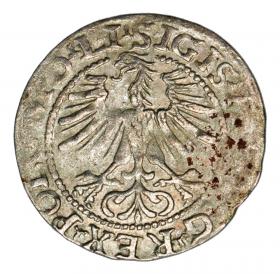 Obrazek 2 dla: Półgrosz 1564 Zygmunt II August Litwa Wilno