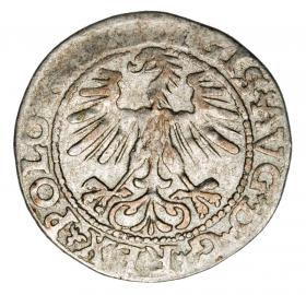 Obrazek 2 dla: Półgrosz 1563 Zygmunt II August Litwa Wilno