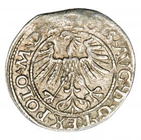 Obrazek 2 dla: Półgrosz 1563 Zygmunt II August Litwa Wilno