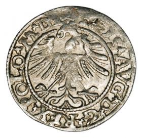 Obrazek 2 dla: Półgrosz 1563 Zygmunt II August Litwa Wilno
