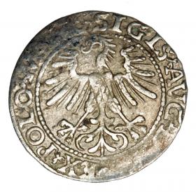 Obrazek 2 dla: Półgrosz 1563 Zygmunt II August Litwa Wilno