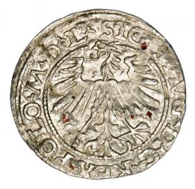 Obrazek 2 dla: Półgrosz 1563 Zygmunt II August Litwa Wilno