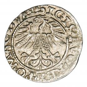 Obrazek 2 dla: Półgrosz 1563 Zygmunt II August Litwa Wilno