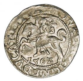 Obrazek dla: Półgrosz 1562 Zygmunt II August Litwa Wilno