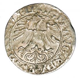 Obrazek 2 dla: Półgrosz 1562 Zygmunt II August Litwa Wilno