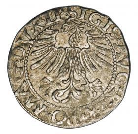 Obrazek 2 dla: Półgrosz 1562 Zygmunt II August Litwa Wilno