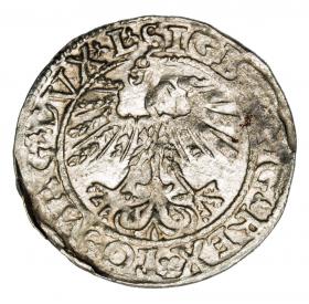 Obrazek 2 dla: Półgrosz 1562 Zygmunt II August Litwa Wilno