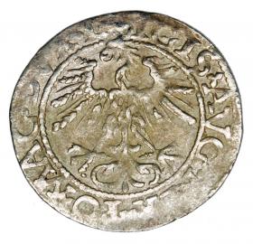 Obrazek 2 dla: Półgrosz 1562 Zygmunt II August Litwa Wilno