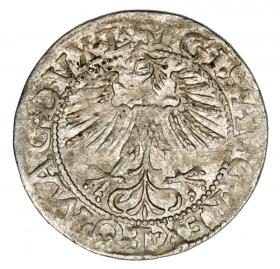 Obrazek 2 dla: Półgrosz 1562 Zygmunt II August Litwa Wilno