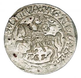 Obrazek dla: Półgrosz 1561 Zygmunt II August Litwa Wilno