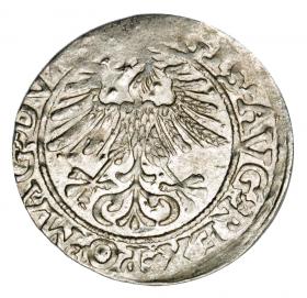Obrazek 2 dla: Półgrosz 1561 Zygmunt II August Litwa Wilno