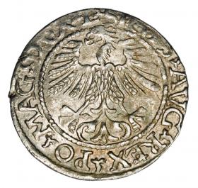 Obrazek 2 dla: Półgrosz 1561 Zygmunt II August Litwa Wilno