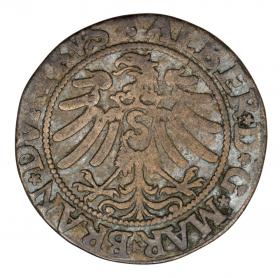 Obrazek 2 dla: Grosz 1533 Albrecht Hohenzollern Księstwo Pruskie Królewiec