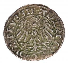 Obrazek 2 dla: Szeląg 1529 Albrecht Hohenzollern Księstwo Pruskie Królewiec