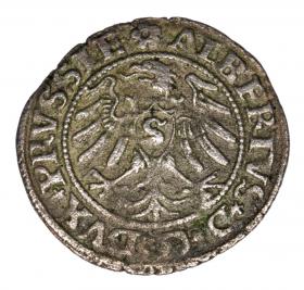 Obrazek 2 dla: Szeląg 1531 Albrecht Hohenzollern Księstwo Pruskie Królewiec