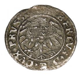 Obrazek 2 dla: Szeląg 1531 Albrecht Hohenzollern Księstwo Pruskie Królewiec