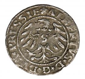 Obrazek 2 dla: Szeląg 1531 Albrecht Hohenzollern Księstwo Pruskie Królewiec