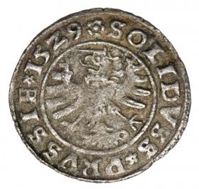 Obrazek 2 dla: Szeląg 1529 Zygmunt I Stary Polska Toruń