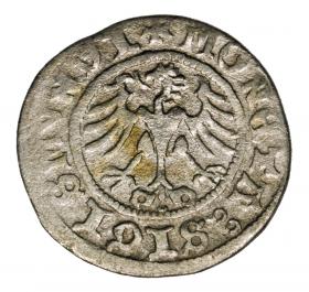 Obrazek 2 dla: Półgrosz 1511 Zygmunt I Stary Polska Kraków