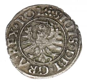Obrazek 2 dla: Szeląg 1531 Zygmunt I Stary Gdańsk Gdańsk