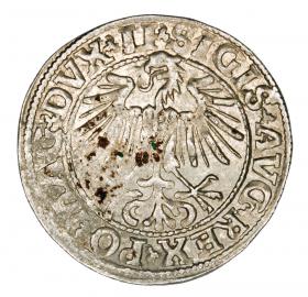 Obrazek 2 dla: Półgrosz 1549 Zygmunt II August Litwa Wilno