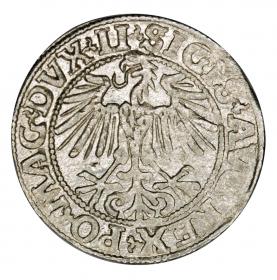 Obrazek 2 dla: Półgrosz 1549 Zygmunt II August Litwa Wilno