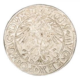 Obrazek 2 dla: Półgrosz 1550 Zygmunt II August Litwa Wilno