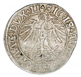 Obrazek 2 dla: Półgrosz 1550 Zygmunt II August Litwa Wilno