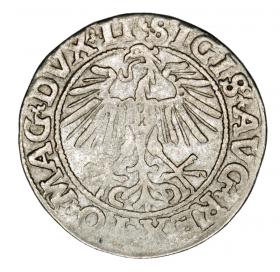 Obrazek 2 dla: Półgrosz 1551 Zygmunt II August Litwa Wilno