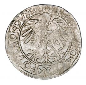 Obrazek 2 dla: Półgrosz 1556 Zygmunt II August Litwa Wilno
