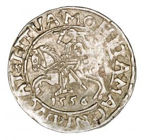Obrazek dla: Półgrosz 1556 Zygmunt II August Litwa Wilno