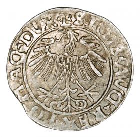 Obrazek 2 dla: Półgrosz 1556 Zygmunt II August Litwa Wilno