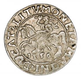 Obrazek dla: Półgrosz 1556 Zygmunt II August Litwa Wilno