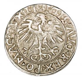 Obrazek 2 dla: Półgrosz 1556 Zygmunt II August Litwa Wilno