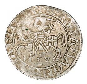 Obrazek dla: Półgrosz 1557 Zygmunt II August Litwa Wilno
